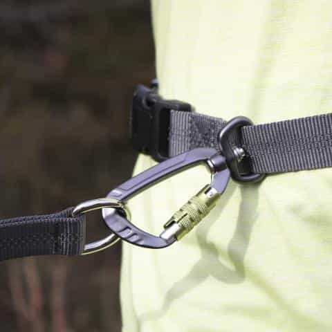 Hands-Free Dog Leashes for Runners: Top Picks for an Active Lifestyle