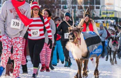 Dashing Through the Snow: Reindeer vs. Humans in Alaska’s Wackiest Race